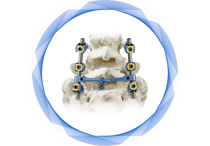 columna vertebral