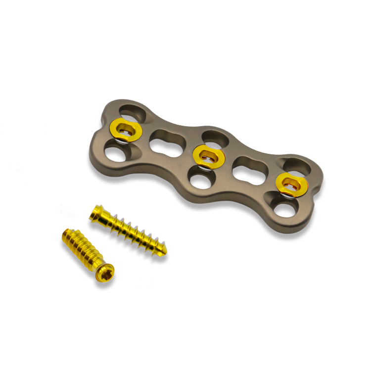 Placa cervical anterior