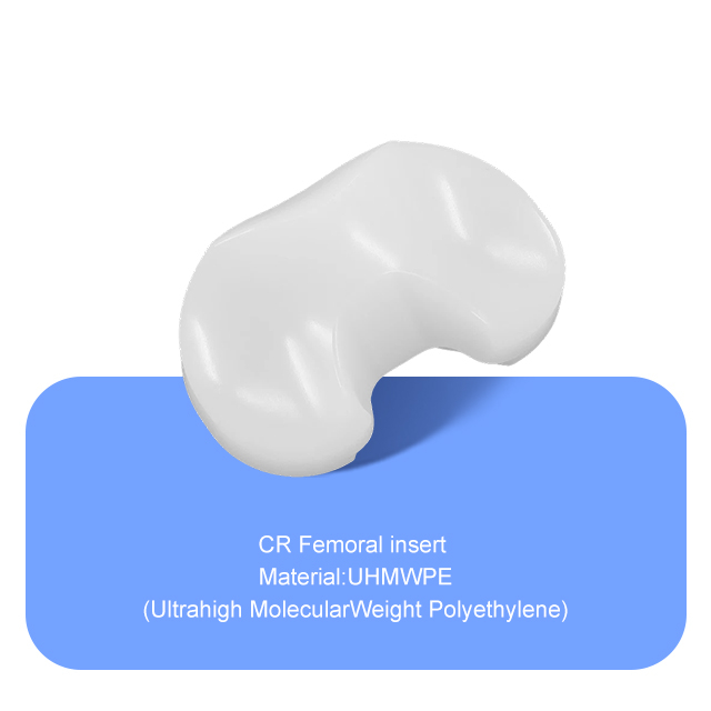 Inserto femoral