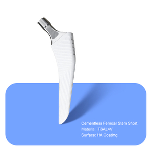 Cementless femoal stem corto