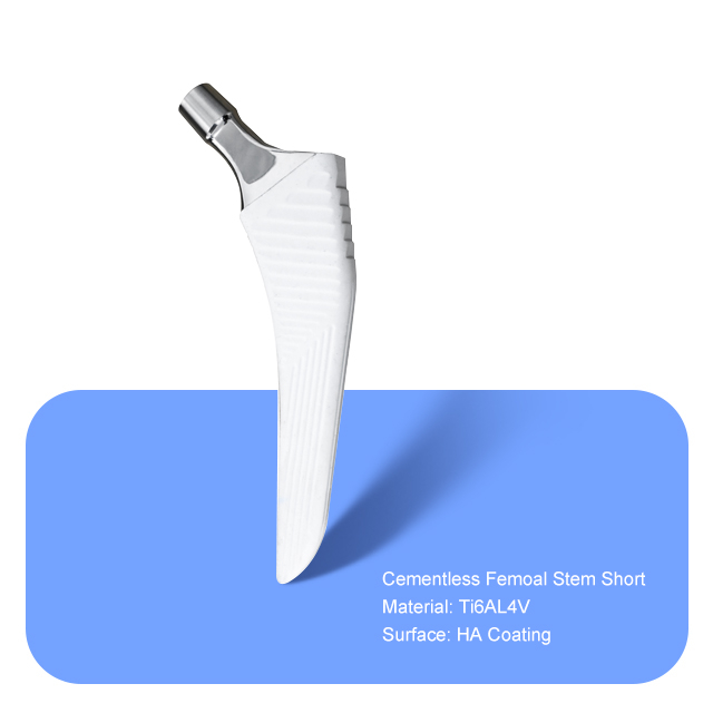Cementless femoal stem corto