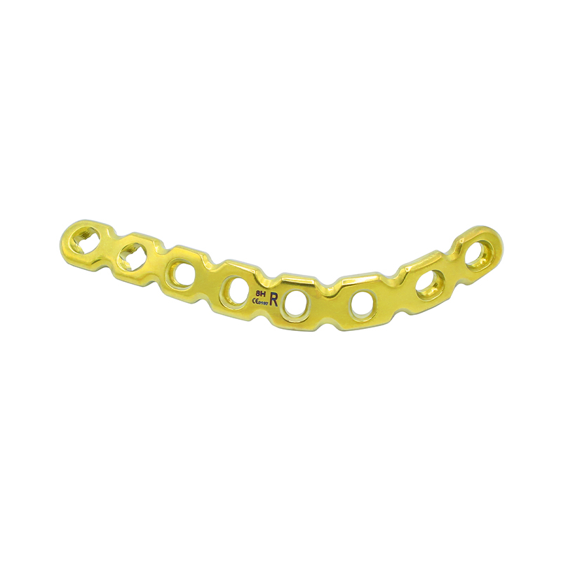 Placa acetabular anatómica