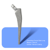Cementless Femoal STEM Long （recubrimiento de titanio）