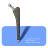 Cementless Femoal STEM （recubrimiento de titanio）