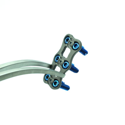 ¿Conoces la placa cervical anterior?