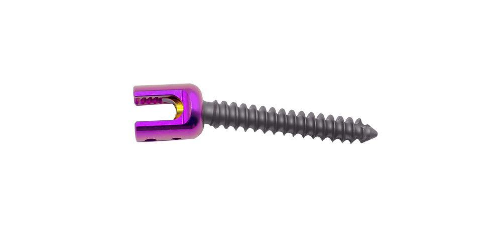  tornillos pediculares