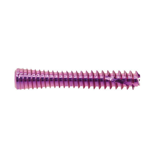 Tornillo de compresión sin cabeza canulado