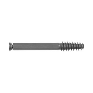 Tipo de tornillo de retraso