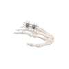 Mini-Expinatador EXTERNAL (Finger & Palm)
