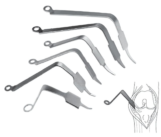 Retractor de gancho de acetábulo