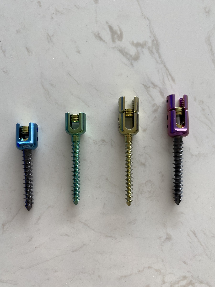 6.0 Tornillo espinal