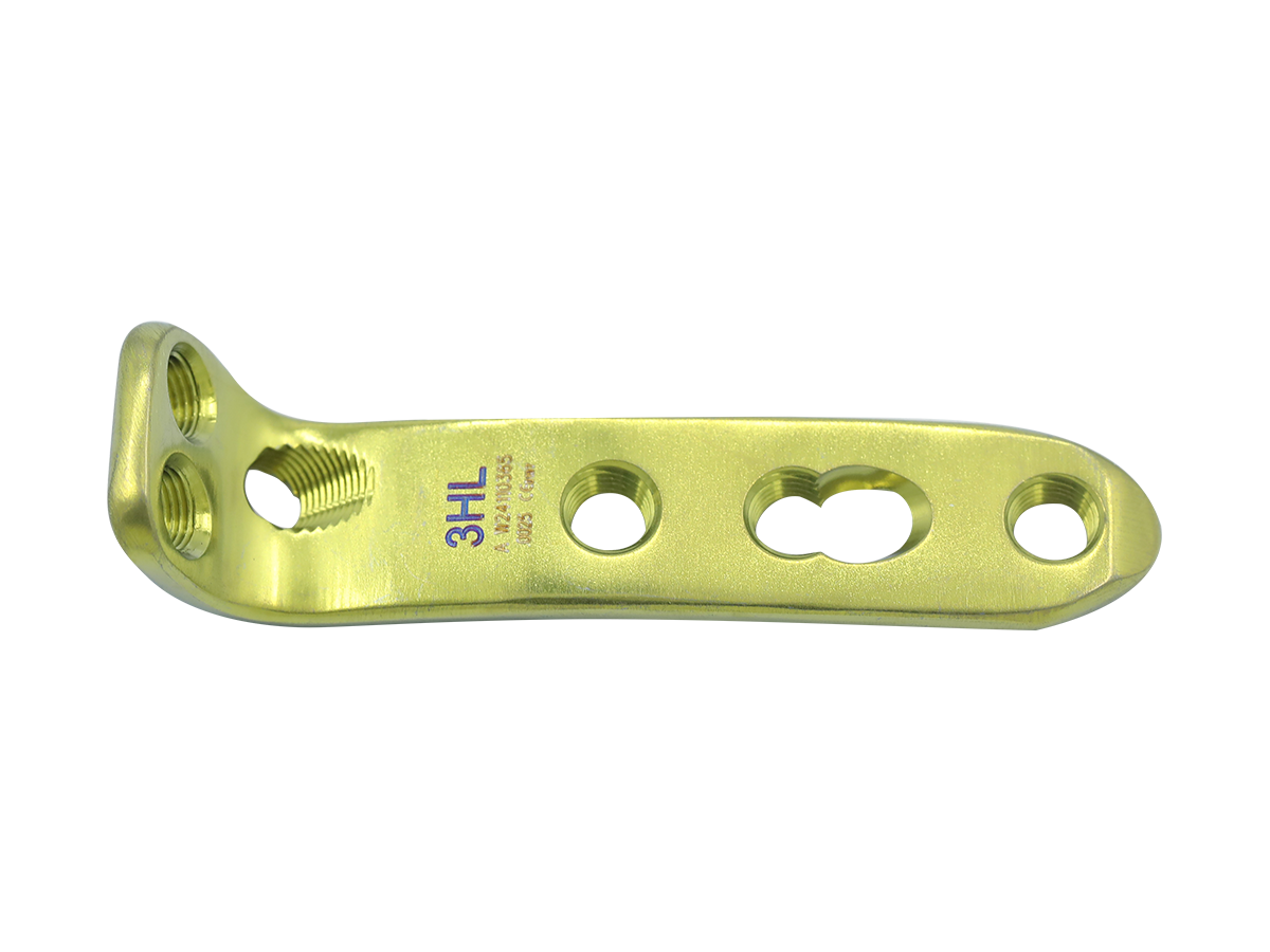 Mediana Anterolateral Tobillo Artrodesis Placa CZMEDITECH