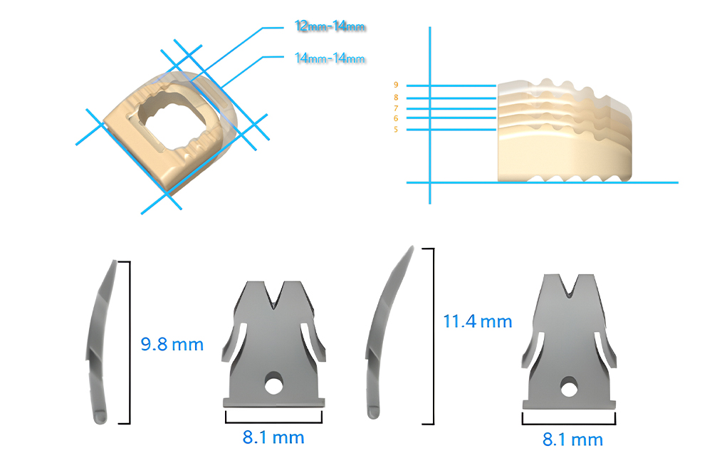 Dimensiones del implante de jaula cervical independiente Uni-C