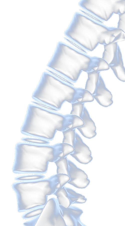 Ilustraci&oacute;n decorativa de la columna cervical