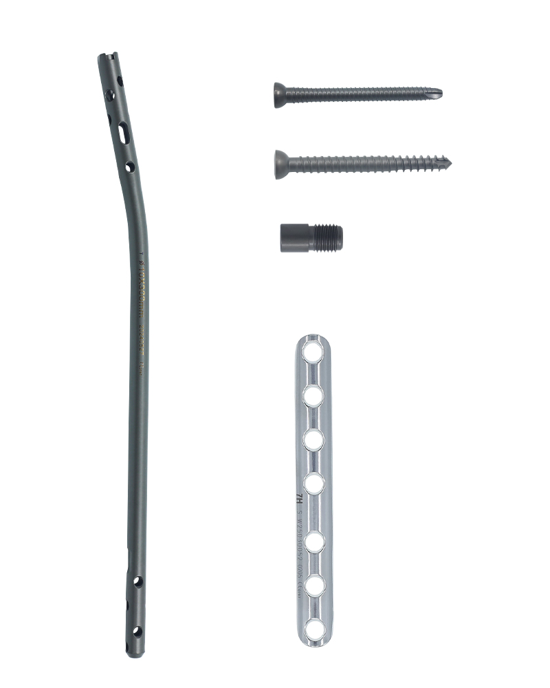 Tibia de grado experto clavo, placa circular de un tercio y tornillos de fijaci&oacute;n