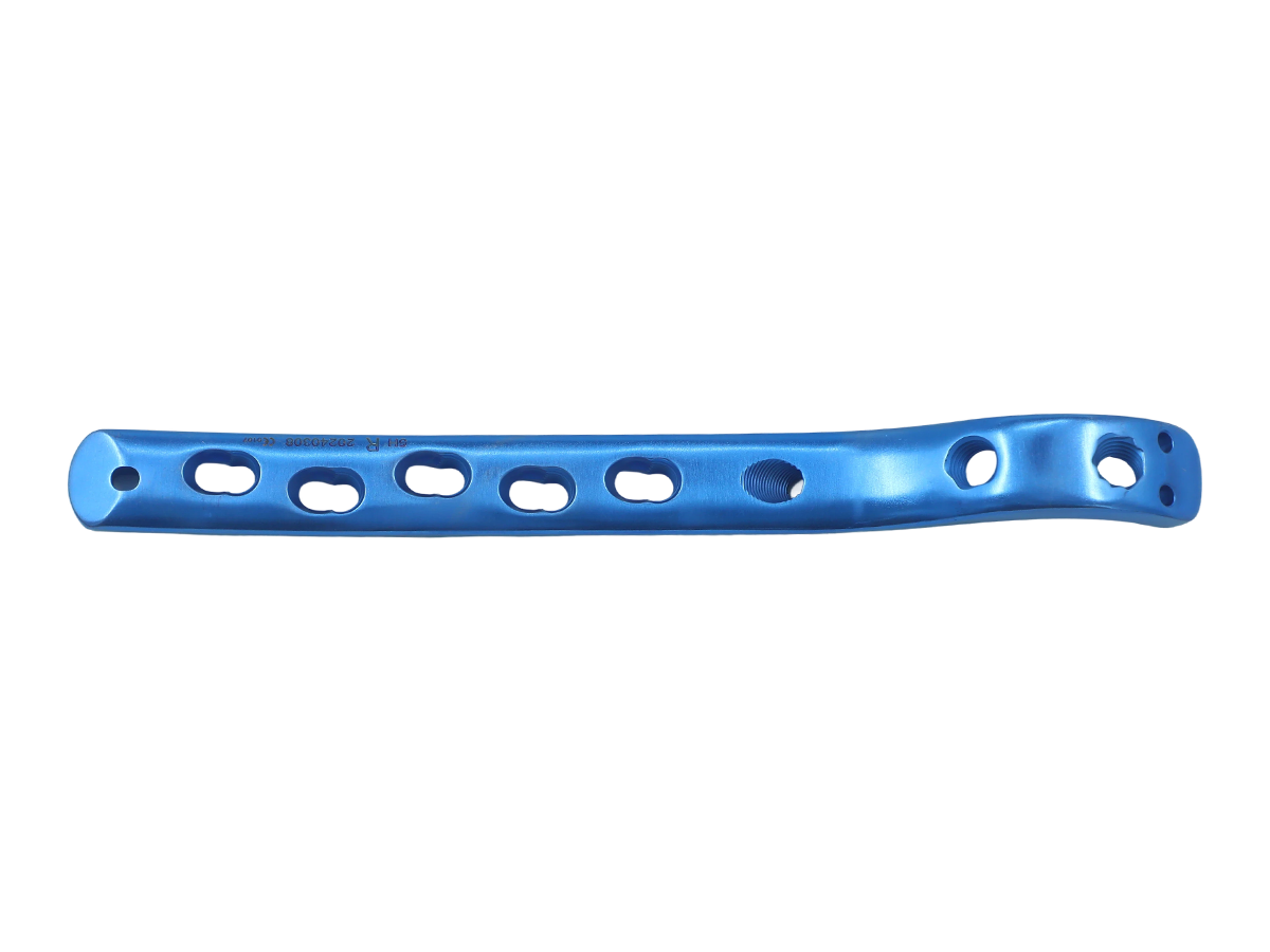 Proximal Femoral Gancho Placa de bloqueo CZMEDITECH