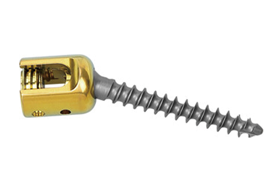 Tornillo pedicular poliaxial de 6,0 mm 