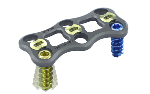 Sistema de placa cervical 