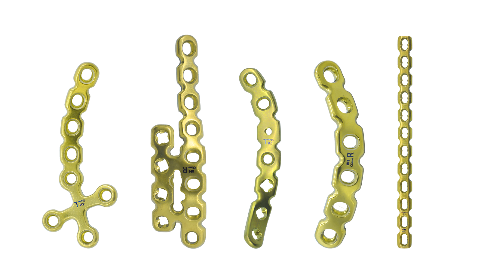 Pelvis and Acetabulum locking plate system