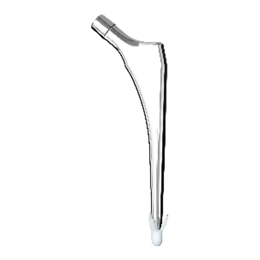 V&aacute;stago femoral cementado RCH