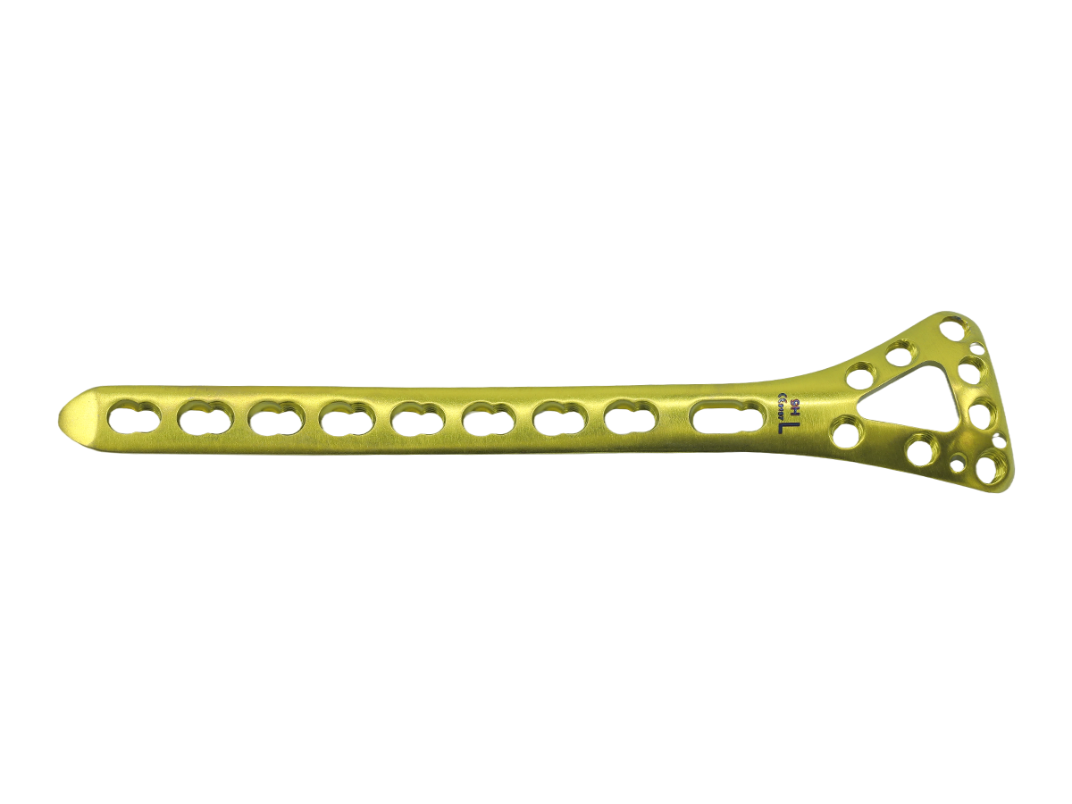 Distal Dorsal Radial Delta Placa de bloqueo - Diseño I CZMEDITECH